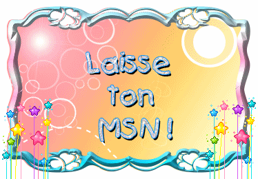 laisse ton MSN ici