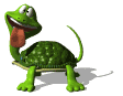 tortue